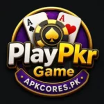 PlayPkr-Game-Download